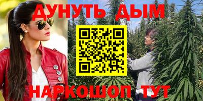 apvp Пушкино