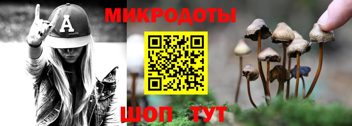 Борзя  купить наркоту  Псилоцибиновые грибы мицелий  Вход с VPN  Псилоцибиновые грибы Magic Shrooms 